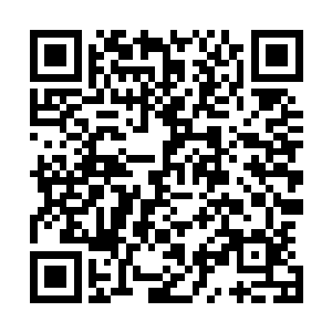 并且在不久之后通过试音成为了当时正值事业巅峰的迈克尔二维码生成