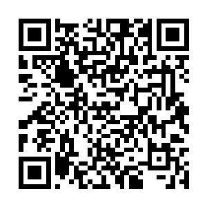 并且在他的眼里这两头肥羊的本事最好是越高越好二维码生成