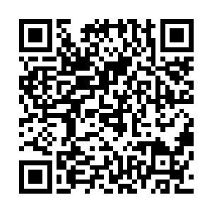 并且在你们的前后方各放出了一只强力的怪物进行堵截……二维码生成