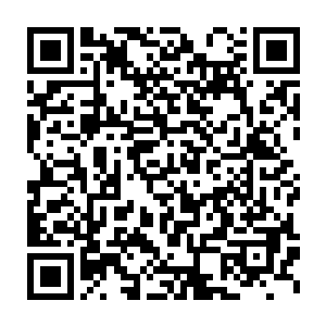 并且在杀完人以后还一点儿都不慌反而叼得飞起地与玛法硬碰硬时二维码生成