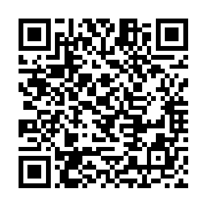 并且坚定自己是一个医生而不是一个羔羊医生的信心二维码生成
