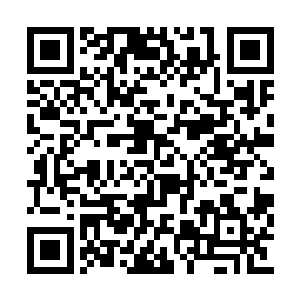 并且大本营中的白雾也是从白莲花中幅散出来的二维码生成