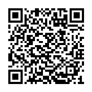 并且好像有什么东西不断的在这个树林之中穿行二维码生成