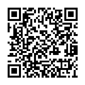 并且察觉到自身力量正在被这血晶心脏迅速吞噬二维码生成