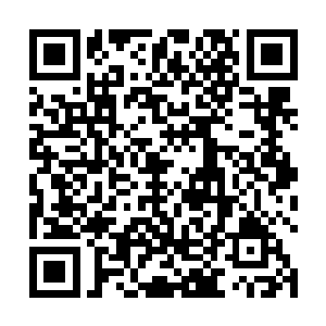 并且将其收服了……甚至还领悟了一套极为诡异的绝学二维码生成
