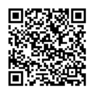 并且将四处收集而来的炼器术雕刻在塔内的四壁之上二维码生成