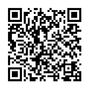 并且就算找到了也根本没办法将药煎起来给夭华喝二维码生成