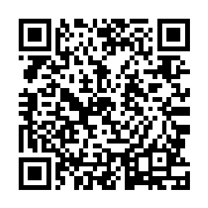 并且就连凤阳城的城主大人和三大家族的掌权人都在里面二维码生成