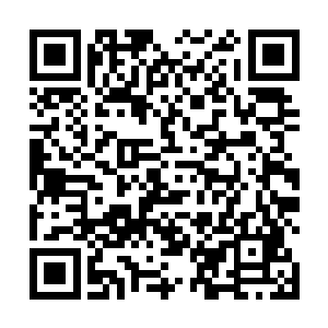 并且就连圣器器灵掌握的光明圣力本源力量都无法化解二维码生成