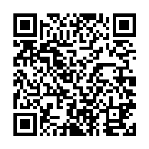 并且就连本公主留在四兄弟身上的印记都被粉碎掉了二维码生成