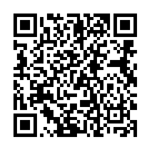 并且已经到了它的内丹跟前了……一旦它的内丹被夺二维码生成