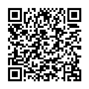 并且已经悟出适合自己再次重塑根基所需要的资源和宝物二维码生成