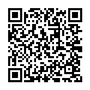 并且带来了宫中太医院的几名医术高绝的老太医二维码生成