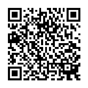 并且开始干涉主物质世界……而就在两界计划进行当中的时候二维码生成