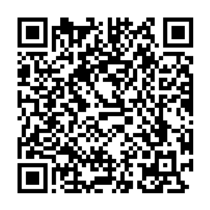 并且彬彬有礼地提出了一个毫无意义的问题……以此回应我提出的要求二维码生成