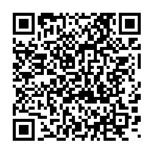 并且很快两个人的答案就一起出现在了赌场特意准备的显示屏上……二维码生成