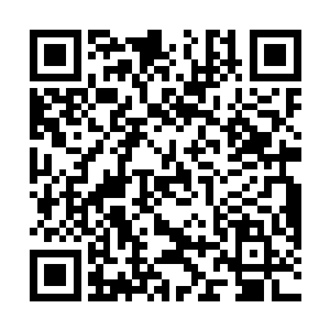 并且很快就让那名垂死的血毒症的病人重新恢复了健康二维码生成