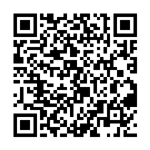 并且恶蟒不断张嘴吐出一条又一条面目狰狞的小蟒蛇二维码生成