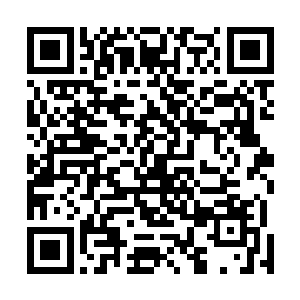 并且悠然仙谷还不吝任何天才地宝的给与我们修炼的基础二维码生成
