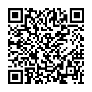 并且成功避开南宫流云注意力的人……究竟是谁二维码生成