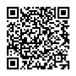 并且我在这个铁门的旁边发现了几个已经模糊不清的浮雕字二维码生成