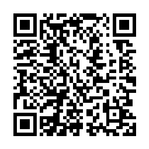 并且把那个想要别他们的法拉利都给别的差点撞山上去了二维码生成
