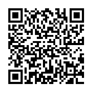 并且操起刀子追杀那些在他眼皮子底下依旧把蟒蛇砍成几段二维码生成
