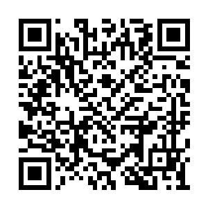 并且故意表现出了妖族会往我们这方向逃的势头二维码生成