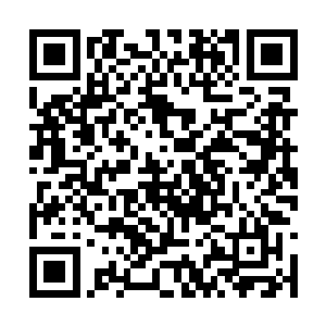 并且散发出一股浓郁香气的叶子出现在了他的手中二维码生成