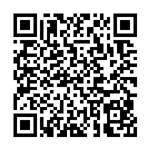 并且是出于保护我们成员的目的才去剿灭丧尸的二维码生成