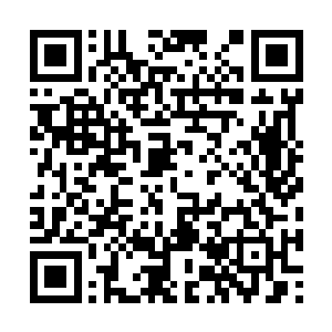 并且本少允诺你到时候赐予你一些提升实力的丹药二维码生成