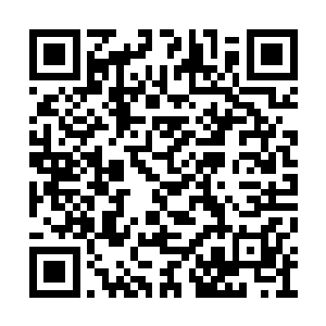 并且滋生出了很多以铁锈为食的古怪苔藓和真菌二维码生成