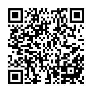 并且由于这几位宗师有组织专门的任务需要完成二维码生成