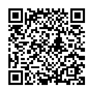 并且由我们商盟的内部两位炼虚境界的长老亲自动手捕捉此兽二维码生成
