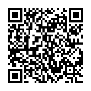 并且百圣城内五位天骄形成阵法施展始境之力都没能杀的了他二维码生成
