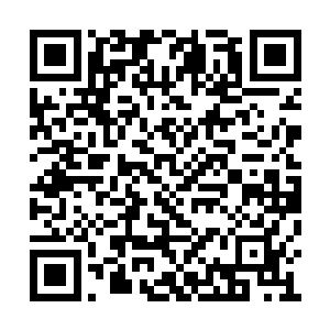 并且眼睁睁的言仁整个人消失在我的阴阳之光下二维码生成