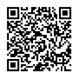 并且知道地图上十个奴隶的印记可以换取十个家族的感谢二维码生成