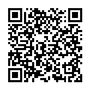 并且绝不会坐视你掌控和愚弄亿万英灵无比骄傲的生命二维码生成