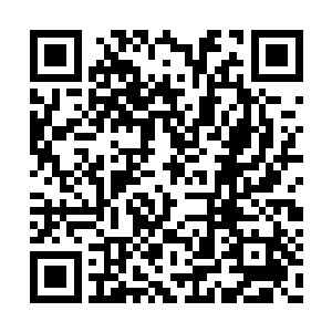 并且绝对需要漂亮的女孩子参与到这个计划之中二维码生成