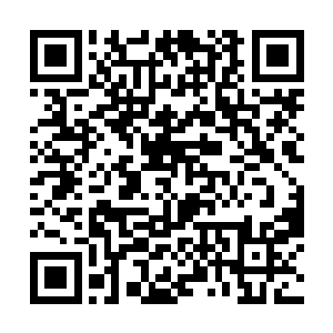 并且自始至终也没有表现出任何惊讶或者愧疚的神情二维码生成