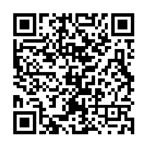 并且被一块石头好好压住的……这个设置就是在告诉我二维码生成