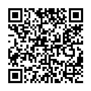 并且被太阳真火和朱雀真火一起压制着出现在李锐的丹田二维码生成