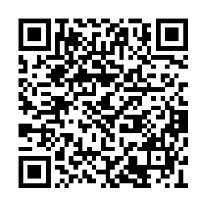 并且要我为此负责……后来的人是罗劲派过去的二维码生成