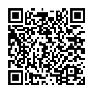 并且试图以他们理解的这个体系来教你写文的时候二维码生成