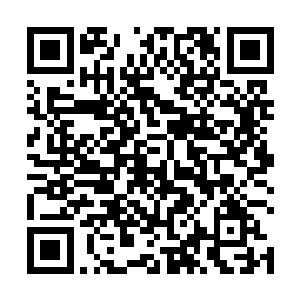 并且趁天时地利人和打开蛋壳系统和外界进行空气交换二维码生成