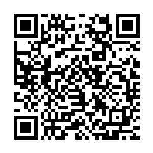 并且趴在上面确认周围没有什么人靠近方圆一两公里的动静以后二维码生成