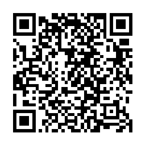 并且跟玛丽昂歌迪亚搭了一场戏――也是全片唯一的一场二维码生成