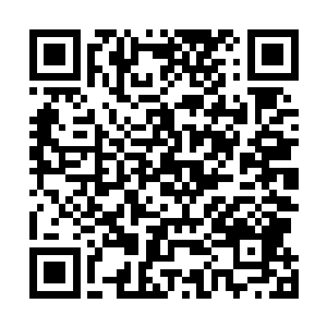 并且跟着楚旬的妖兽异形一起朝着那雷虎和雷鸟发起冲击二维码生成