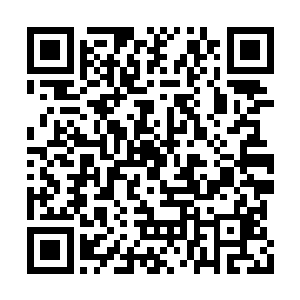 并且跟随他一起见证了一场惊心动魄的走蛟事件二维码生成
