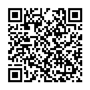 并且跟随军事学院大大小小参加了十一场人魔战役二维码生成